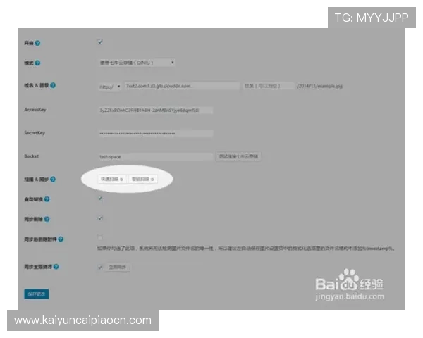 开云官网网页版登录界面操作技巧提升登录效率