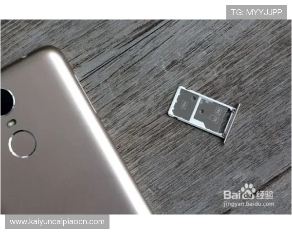 开运体育官网入口手机版带你轻松开启幸运之门，随时随地畅享精彩游戏体验