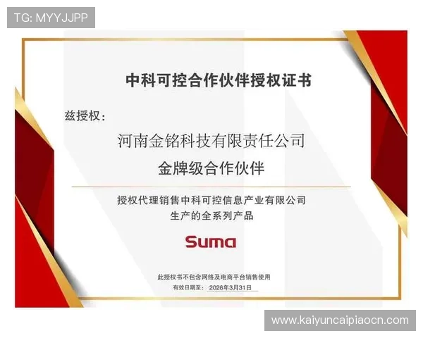 kaiyun公司在网络游戏行业中的市场份额与竞争优势深度解析