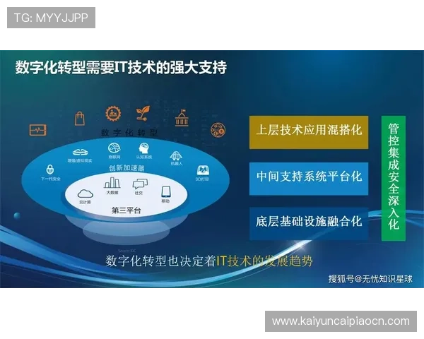 开云公司旗下品牌在数字化转型中的策略与创新实践探索